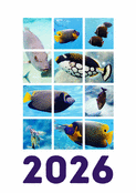 Voeux aquatiques color&eacute;s pour 2026